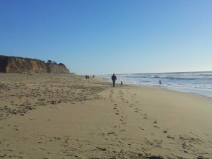 Poplar Beach 2014-02-01 15.57.01