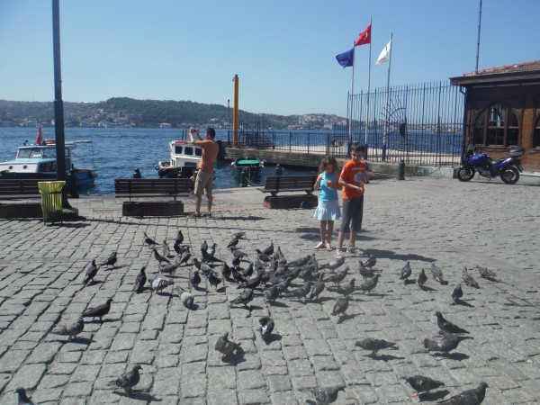 DSCF0245